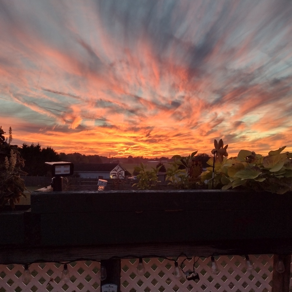 Meet your Posher, Denise